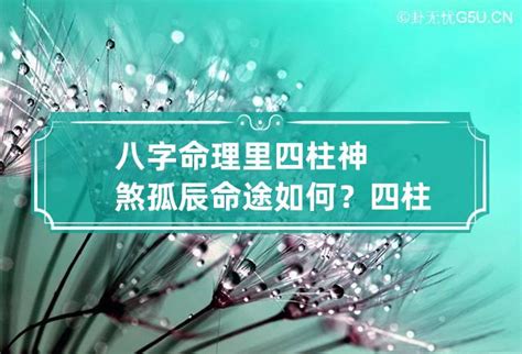 神煞 孤辰|【孤辰 意思】孤辰寡宿的殘忍真相：看懂命盤，化解孤獨運命！